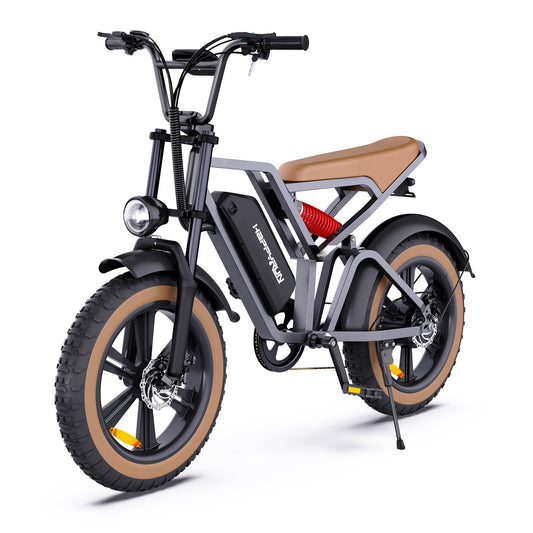 Lee-Bot GTXR &amp; Happyrun G60 – Kraft, komfort och äventyr utan gränser