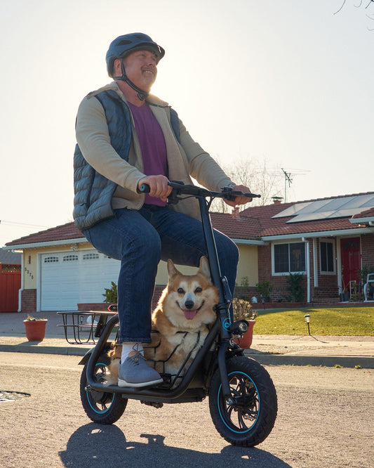 Lee-Bot Elektrisk Scooter med Säte – Komfort och Prestanda i Världsklass